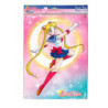Piastra di metallo - Sailor Moon -  - Sailor Moon