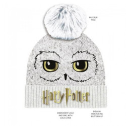 Hut - Harry Potter - Hedwig