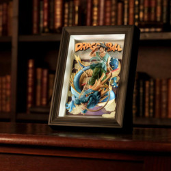 Cadre - Tamashii Art - Dragon Ball - Son Goku & Shenron - 3D