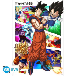Poster - Rolled and shrink-wrapped - Dragon Ball - Panels