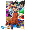 Poster - Arrotolato e termoretraibile - Dragon Ball - Panels