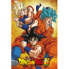 Poster - Arrotolato e termoretraibile - Dragon Ball -  - Son Goku