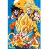 Poster - Roulé et filmé - Dragon Ball - Son Goku