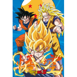 Poster - Arrotolato e termoretraibile - Dragon Ball -  - Son Goku