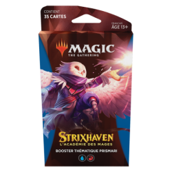 Sammelkarten - Booster in Blisterpackung - Magic The Gathering - MTG-Theme Booster (5) - Strixhaven: School of Mages