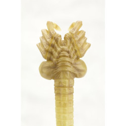Accessoire Cuisine - Alien - Facehugger