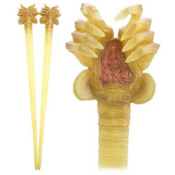 Accessoire Cuisine - Alien - Facehugger