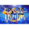 Figura articolata - S.H.Figuarts - Sailor Moon -  - Sailor Mars
